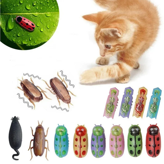 Electric Bug Catnip Toy