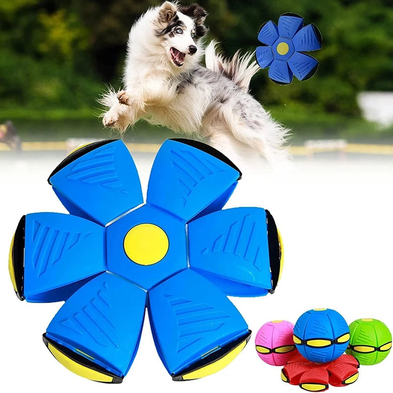 Pet Toy Flying Saucer