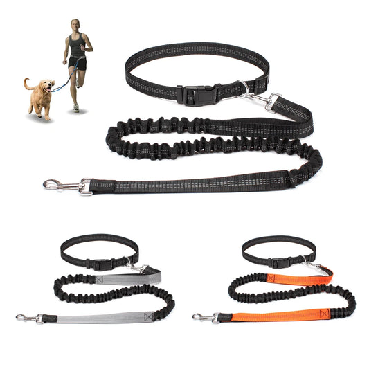 Hands-Free Dog Leash