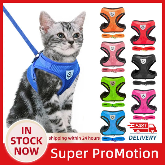 Adjustable Mesh Cat Harness Vest