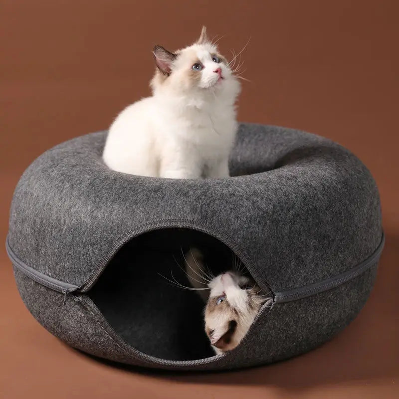 Donut Cat Bed & Tunnel: Indoor Training, Dual-Use