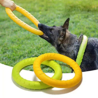 Pet Flying Disk Training Ring